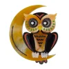 A Moon With View Owl Brooch