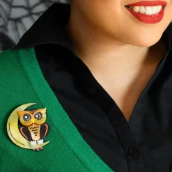 A Moon With View Owl Brooch