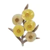 A Walk In The Wattle Brooch