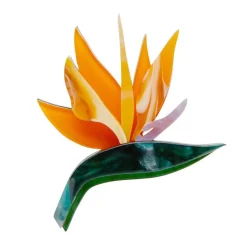 Birds Of A Feather Brooch