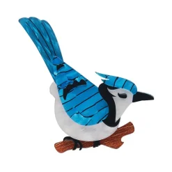 Blue Jay Way Brooch
