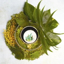 Botanical Abode Brooch