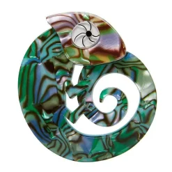 Carmel'S Chameleon Brooch