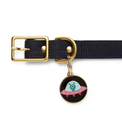 Close Encounter Enamel Pet Charm