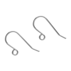Earring Hooks (Steel) - 1 Pair