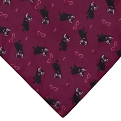 Elissa The Indie Cat Head Scarf