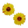 Follow The Sun Hair Clips Set - 2 Piece