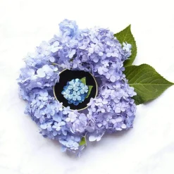 Heartfelt Hydrangea Brooch