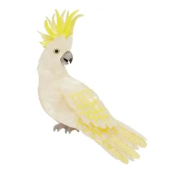 Hello Cocky Brooch