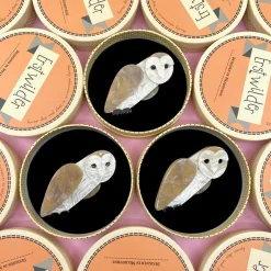 Miah Masked Owl Brooch