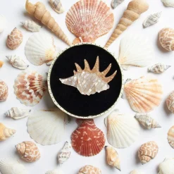 Mobile Home Shell Brooch