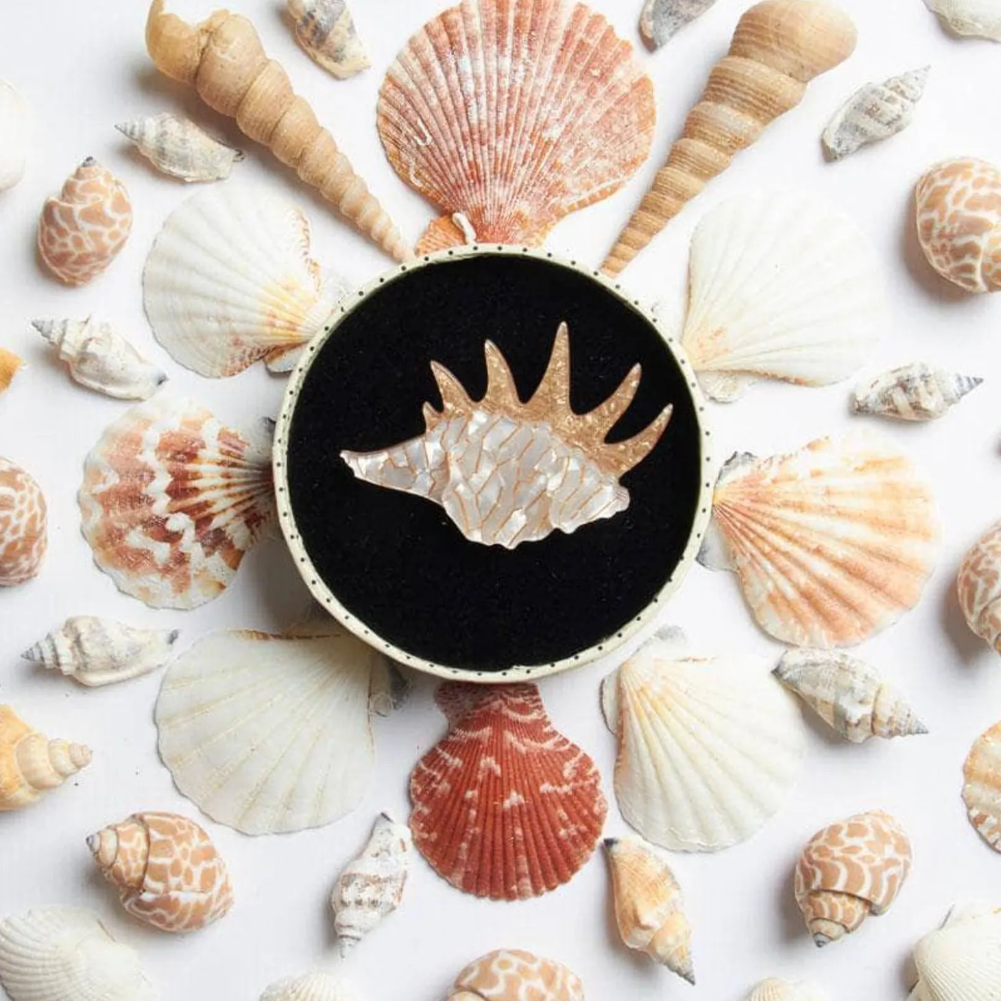 Mobile Home Shell Brooch