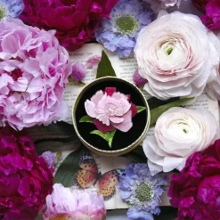 My Little Peony Brooch