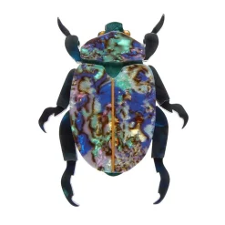 Nature'S Noel Brooch