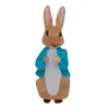 Peter Rabbit Brooch