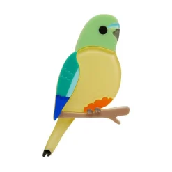 Radiant Rambler Parrot Brooch