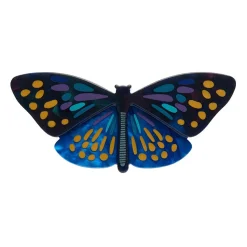 Set Yourself Free Butterfly Hair Clip Barrette
