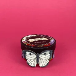 Social Butterfly Brooch