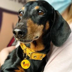 Spiffy The Sausage Dog Enamel Pet Charm