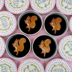 Squirrel Nutkin Brooch