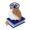 Studious Snow Owl Brooch