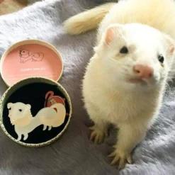 Sunny Smiles Ferret Brooch