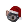 Tassie Claus Brooch