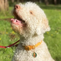 The Bite Before Christmas Enamel Pet Charm